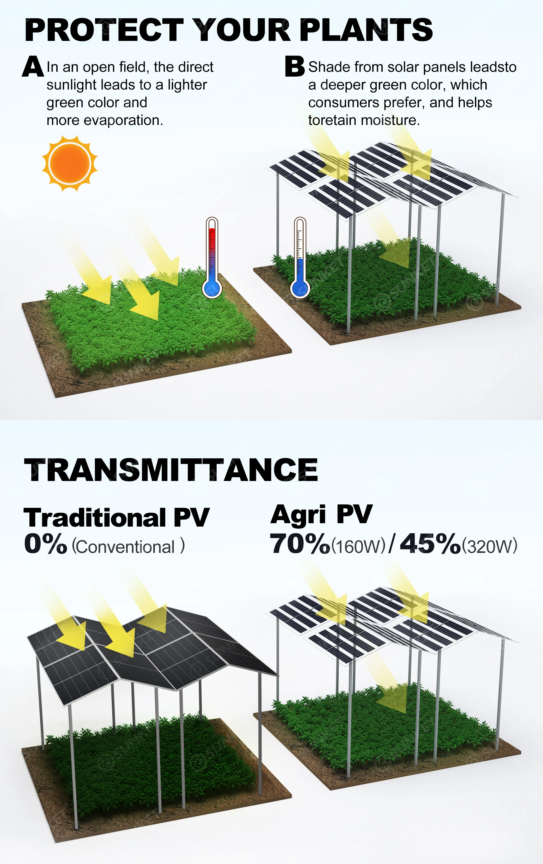 Agri-PV BIPV Modules 3